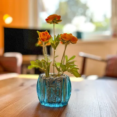 Urlauberdorf Haus 61c * בולטנהאגן